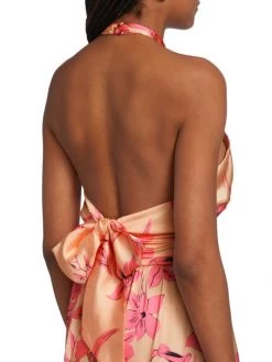 Ramy Brook Luna Floral Halter Midi-Dress -Hot Sale Ramy Brook Store unnamed file 213