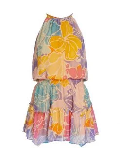Ramy Brook Kourtney Smocked Floral Minidress