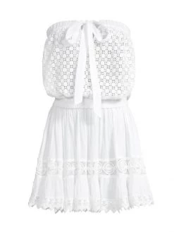 Ramy Brook Lizzie Strapless Embroidered Minidress