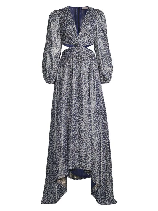 Ramy Brook Delmi Floral Maxi Dress 3 Ramy Brook Delmi Floral Maxi Dress